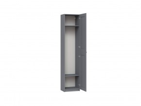 2.06.01.020.4 МАКС шкаф 1 дверь 50х38х233 серый RU в Качканаре - kachkanar.ok-mebel.com | фото 2