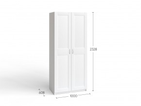 2.06.01.050.4 МАКС шкаф 2 двери 100х61х233 серый RU в Качканаре - kachkanar.ok-mebel.com | фото 4