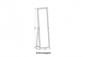 АЛЕКСАНДРИЯ-9.1 Зеркало напольное в Качканаре - kachkanar.ok-mebel.com | фото 2