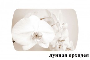 БОСТОН - 2 опоры Триумф в Качканаре - kachkanar.ok-mebel.com | фото 18