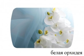 БОСТОН - 2 опоры Триумф в Качканаре - kachkanar.ok-mebel.com | фото 52