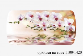 БОСТОН - 3 Стол раздвижной 1100/1420 опоры Брифинг в Качканаре - kachkanar.ok-mebel.com | фото 66