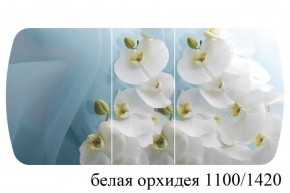 БОСТОН - 3 Стол раздвижной 1100/1420 опоры Триумф в Качканаре - kachkanar.ok-mebel.com | фото 9
