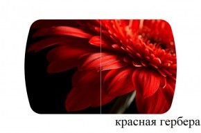 БОСТОН - 3 Стол раздвижной 1100/1420 опоры Триумф в Качканаре - kachkanar.ok-mebel.com | фото 18
