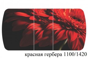 БОСТОН - 3 Стол раздвижной 1100/1420 опоры Триумф в Качканаре - kachkanar.ok-mebel.com | фото 19