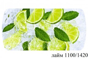 БОСТОН - 3 Стол раздвижной 1100/1420 опоры Триумф в Качканаре - kachkanar.ok-mebel.com | фото 22