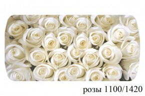 БОСТОН - 3 Стол раздвижной 1100/1420 опоры Триумф в Качканаре - kachkanar.ok-mebel.com | фото 37