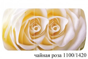 БОСТОН - 3 Стол раздвижной 1100/1420 опоры Триумф в Качканаре - kachkanar.ok-mebel.com | фото 48