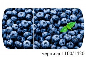 БОСТОН - 3 Стол раздвижной 1100/1420 опоры Триумф в Качканаре - kachkanar.ok-mebel.com | фото 51