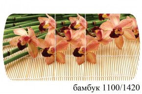 БОСТОН - 3 Стол раздвижной 1100/1420 опоры Триумф в Качканаре - kachkanar.ok-mebel.com | фото 6