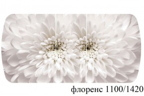 БОСТОН - 3 Стол раздвижной 1100/1420 опоры Триумф в Качканаре - kachkanar.ok-mebel.com | фото 66