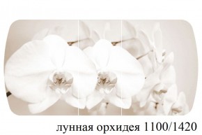 БОСТОН - 3 Стол раздвижной Лунная орхидея 1100/1420 опоры Триумф в Качканаре - kachkanar.ok-mebel.com | фото 3