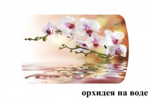 БОСТОН - 3 Стол раздвижной Орхидея на воде 1100/1420 опоры Триумф в Качканаре - kachkanar.ok-mebel.com | фото 2