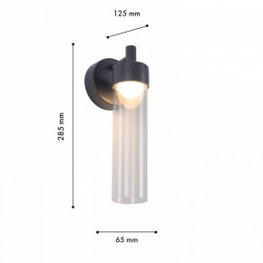 Бра Favourite Outdoor 4703-1W в Качканаре - kachkanar.ok-mebel.com | фото 6