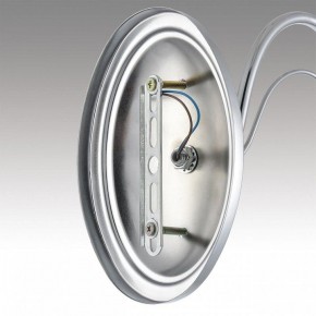 Бра Lumion INCANTO 8034/1W в Качканаре - kachkanar.ok-mebel.com | фото 7