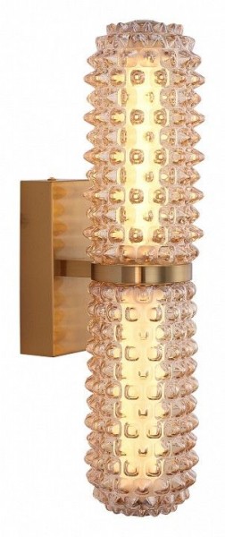 Бра ST-Luce SAGUARO SL6144.301.01 в Качканаре - kachkanar.ok-mebel.com | фото 2