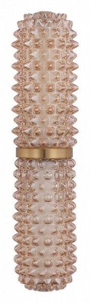 Бра ST-Luce SAGUARO SL6144.301.01 в Качканаре - kachkanar.ok-mebel.com | фото 4