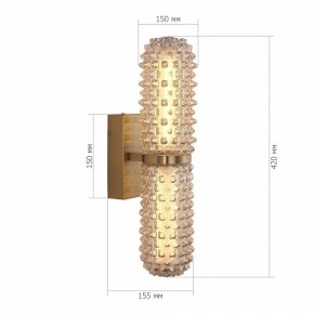 Бра ST-Luce SAGUARO SL6144.301.01 в Качканаре - kachkanar.ok-mebel.com | фото 5