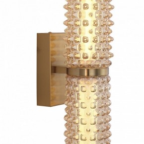 Бра ST-Luce SAGUARO SL6144.301.01 в Качканаре - kachkanar.ok-mebel.com | фото 6