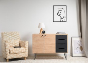 БРЮС Комод 16.233 в Качканаре - kachkanar.ok-mebel.com | фото 2