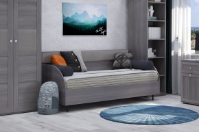 Диван-кровать 900 Парма Нео в Качканаре - kachkanar.ok-mebel.com | фото 4