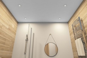 DK2036-WH Встраиваемый светильник влагозащ., IP 44, до 15 Вт, GU10, LED, белый, алюминий в Качканаре - kachkanar.ok-mebel.com | фото 5