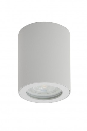 DK3007-WH Накладной светильник влагозащ., IP 44, 15 Вт, GU10, белый, алюминий в Качканаре - kachkanar.ok-mebel.com | фото