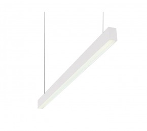 DK9124-WH Линейный светильник 30W 1250mm 4000K, белый в Качканаре - kachkanar.ok-mebel.com | фото