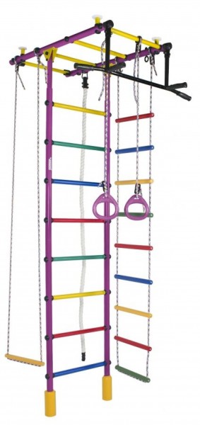 ДСК Атлант цв.фиолетовый радуга: турник, кольца, канат, трапеция, веревочная лестница в Качканаре - kachkanar.ok-mebel.com | фото