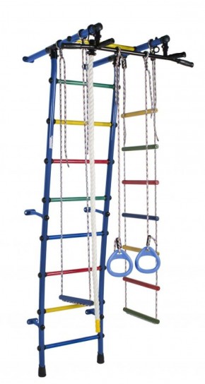 ДСК Стелла цв.синий радуга: турник, кольца, канат, трапеция, веревочная лестница в Качканаре - kachkanar.ok-mebel.com | фото