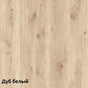 Эйп Шкаф комбинированный 13.14 в Качканаре - kachkanar.ok-mebel.com | фото 4