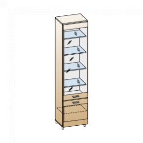 Гостиная Камелия Композиция 11 (Снежный ясень) в Качканаре - kachkanar.ok-mebel.com | фото 2