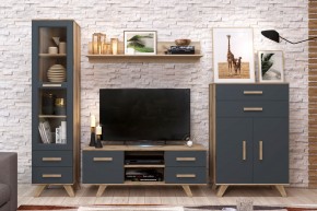 Гостиная Вега Скандинавия (комплект 7) в Качканаре - kachkanar.ok-mebel.com | фото 2