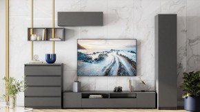 Комод Сибити в Качканаре - kachkanar.ok-mebel.com | фото 5