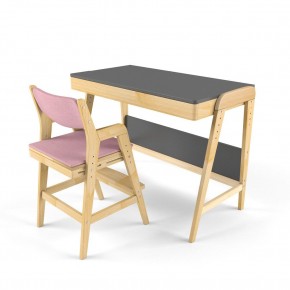 Комплект растущий стол и стул с чехлом 38 попугаев «Вуди» (Серый, Береза, Розовый) в Качканаре - kachkanar.ok-mebel.com | фото
