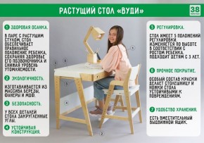 Комплект растущий стол и стул с чехлом 38 попугаев «Вуди» (Серый, Без покрытия, Ромбы) в Качканаре - kachkanar.ok-mebel.com | фото