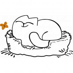 Кровать двухуровневая Кот № 900.1 ЛЕВАЯ (туя светлая/белый) в Качканаре - kachkanar.ok-mebel.com | фото 2
