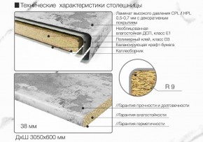 Кухонный фартук со столешницей (А-07) в едином стиле (3050 мм) в Качканаре - kachkanar.ok-mebel.com | фото 6
