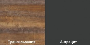 Кухонный гарнитур угловой Трансильвания 2600х1600 мм (Стол. 38 мм) в Качканаре - kachkanar.ok-mebel.com | фото 3