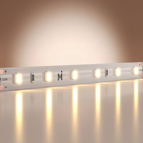 Лента светодиодная Maytoni Base 201177 в Качканаре - kachkanar.ok-mebel.com | фото
