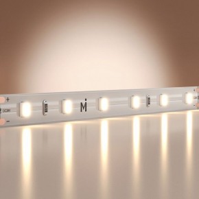 Лента светодиодная Maytoni Base 201178 в Качканаре - kachkanar.ok-mebel.com | фото