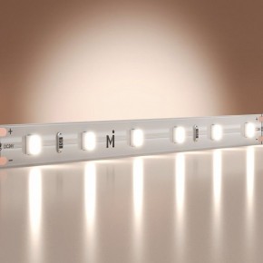 Лента светодиодная Maytoni Base 201179 в Качканаре - kachkanar.ok-mebel.com | фото