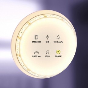 Лента светодиодная Maytoni Led strip 10114 в Качканаре - kachkanar.ok-mebel.com | фото 2