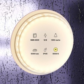 Лента светодиодная Maytoni Led strip 10117 в Качканаре - kachkanar.ok-mebel.com | фото 2