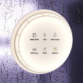 Лента светодиодная Maytoni Led strip 10118 в Качканаре - kachkanar.ok-mebel.com | фото 2