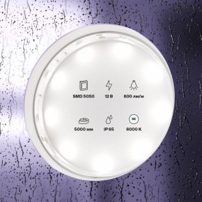 Лента светодиодная Maytoni Led strip 10125 в Качканаре - kachkanar.ok-mebel.com | фото 2