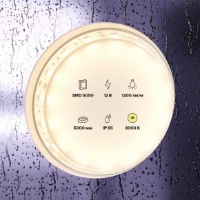 Лента светодиодная Maytoni Led strip 10131 в Качканаре - kachkanar.ok-mebel.com | фото 2