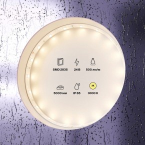 Лента светодиодная Maytoni Led strip 10139 в Качканаре - kachkanar.ok-mebel.com | фото 2