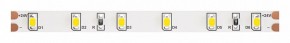 Лента светодиодная Maytoni Led strip 10141 в Качканаре - kachkanar.ok-mebel.com | фото