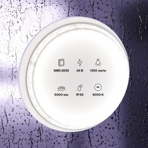 Лента светодиодная Maytoni Led strip 10153 в Качканаре - kachkanar.ok-mebel.com | фото 2